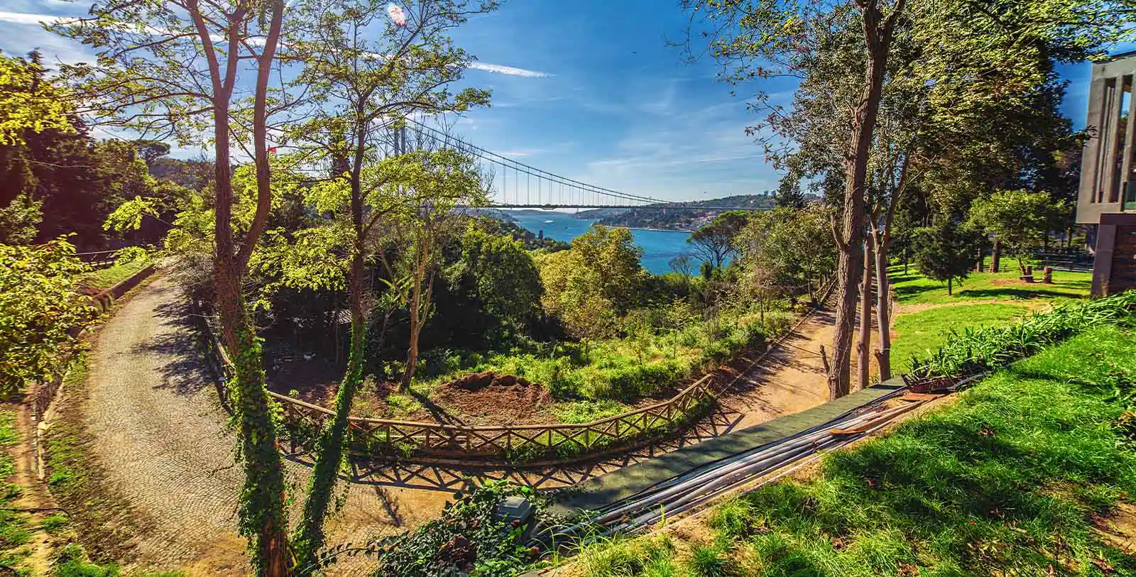 a view from a forest in Beykoz, luxurious neighborhood in İstanbul